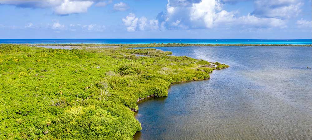 Isla Cozumel Highlights Tour Punta Sur Eco Reserve