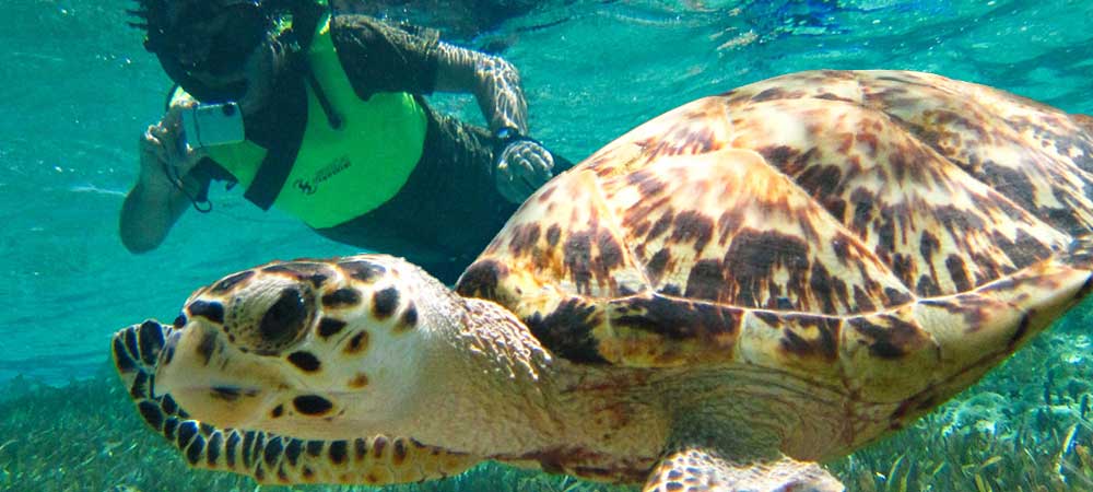 Isla Cozumel Highlights Tour Punta Sur Eco Reserve