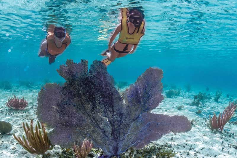 Three Reef Tour in Cozumel